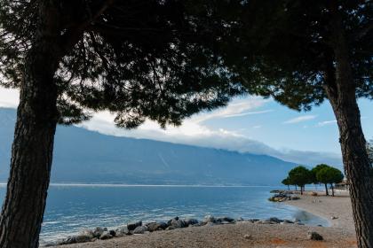 Alexandru &V ictoria