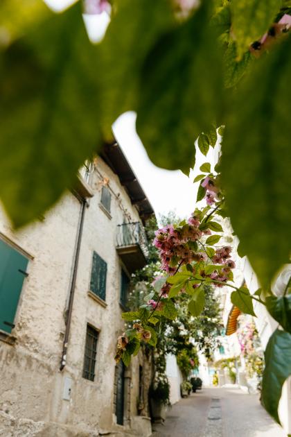 Alexandru &V ictoria